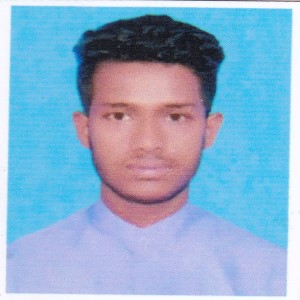 মো: ইমরান হোসেন